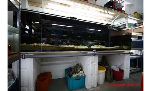 Schaubecken 900l 1